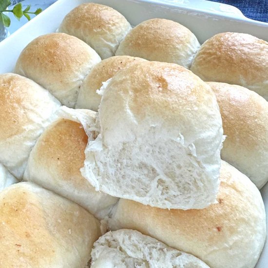 Potato Dinner Rolls