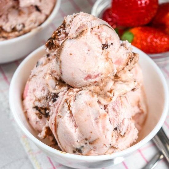 Chocolate Strawberry Ice Cream