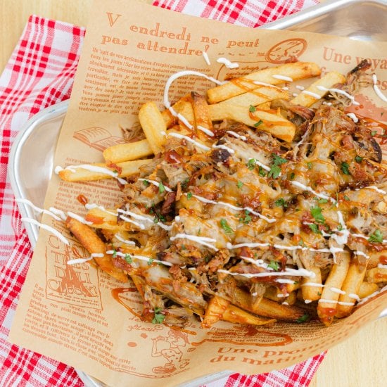 Pulled Pork Fries