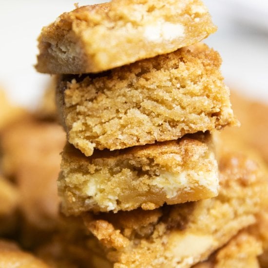 Chewy Snickerdoodle Blondies