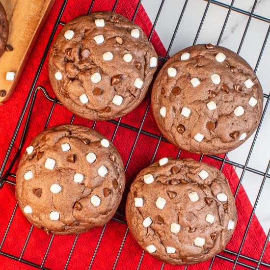 Hot Chocolate Cookies