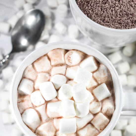 Homemade Hot Cocoa Mix