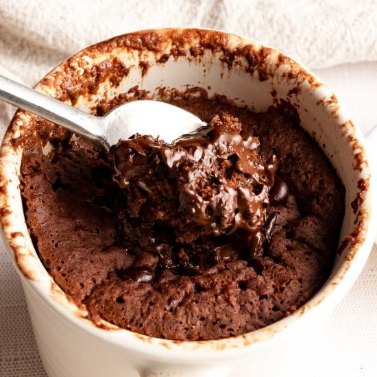 Chocolate Oat Flour Mug Cake