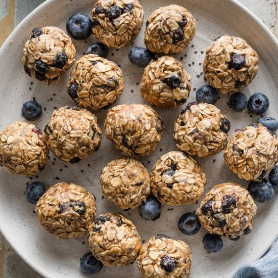 Blueberry Chia Protein Bites