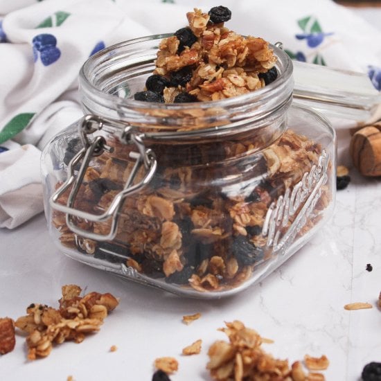 Simple Blueberry Granola