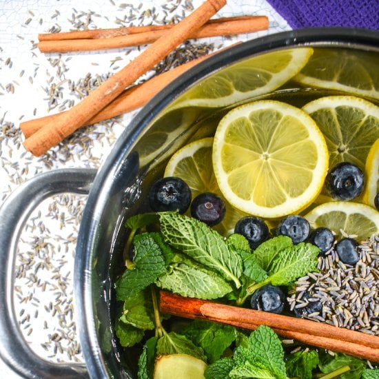 Lemon Blueberry Simmer Pot