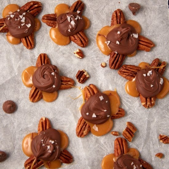 Pecan Turtles
