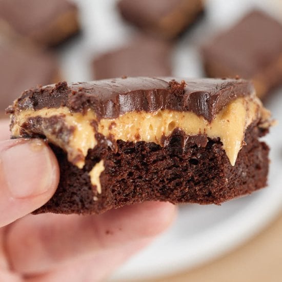 Chocolate Peanut Butter Brownies