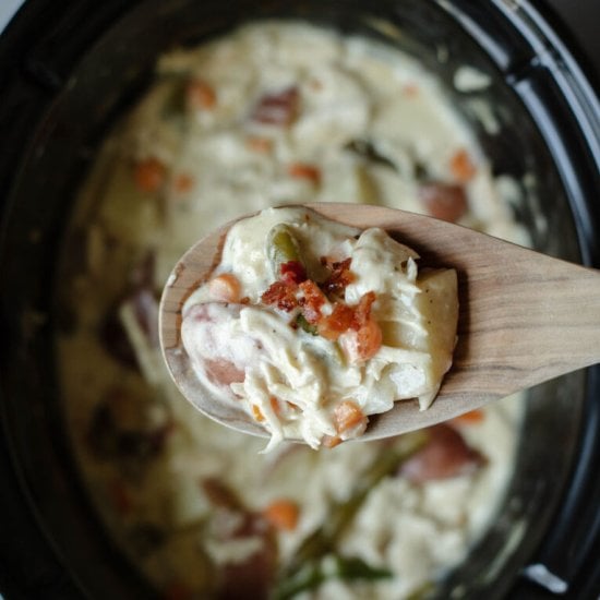 Slow Cooker Chicken Stew
