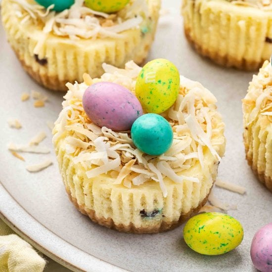 Easter Mini Cheesecake Cups