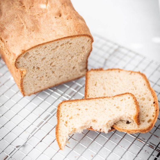 Best Gluten Free Sandwich Bread