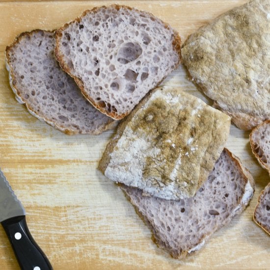 Gluten-Free Ciabatta Rolls