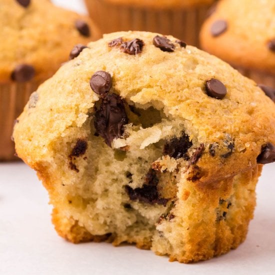Chocolate Chip Muffins