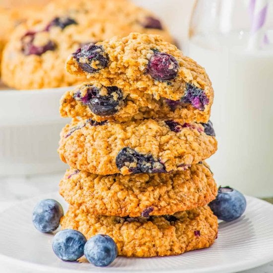 Blueberry Oatmeal Cookies