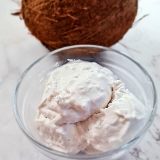 Egg Free Keto Coconut Ice Cream