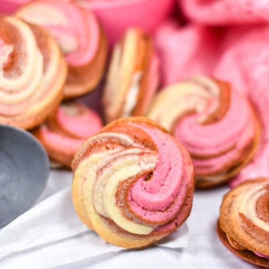 Neapolitan Butter Cookies