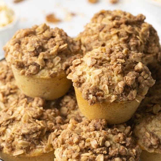 Cinnamon Oatmeal Muffins
