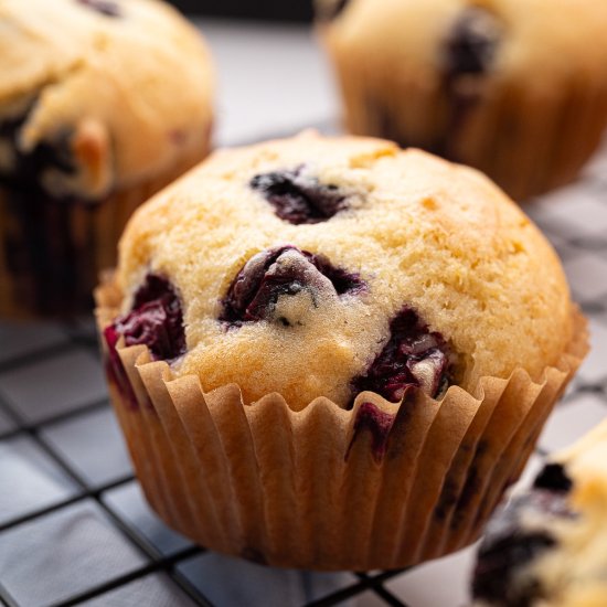 Blueberry Buttermilk Muffins