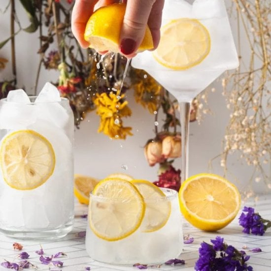 Vodka Sour with Fresh Lemon