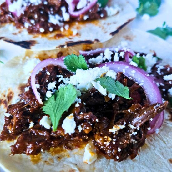 Chipotle Braised Short Rib Tacos