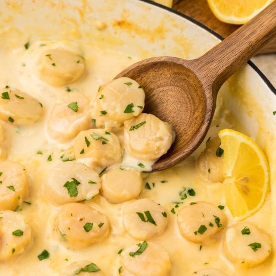Creamy Garlic Scallops
