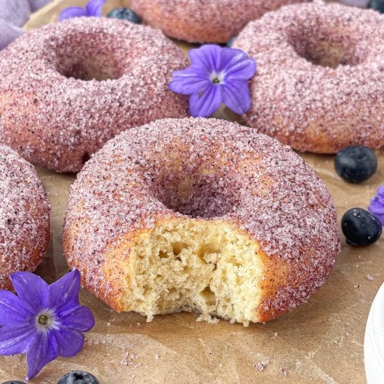 Blueberry Sugar Donuts
