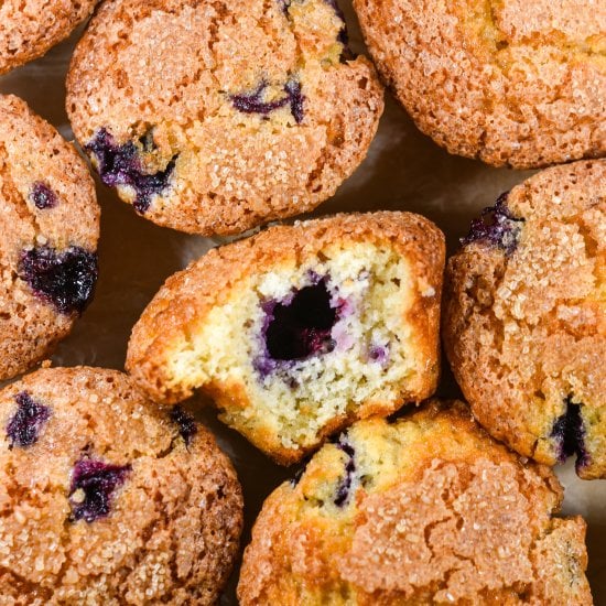 Blueberry Muffins