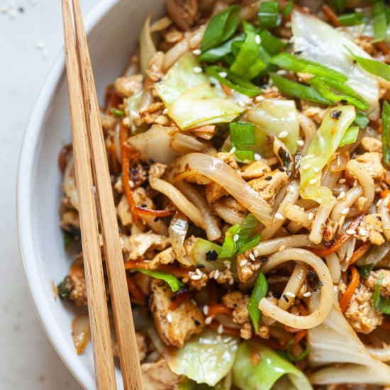 Vegan Yaki Udon Noodles