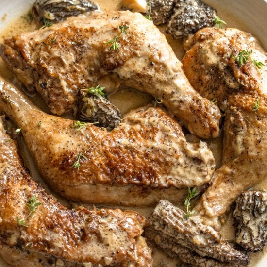 Fricassee Chicken, Morels, and Wine