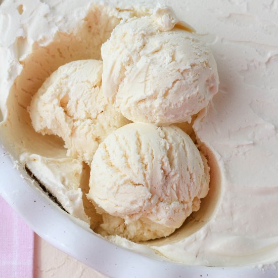 No Churn Vegan Vanilla Ice Cream