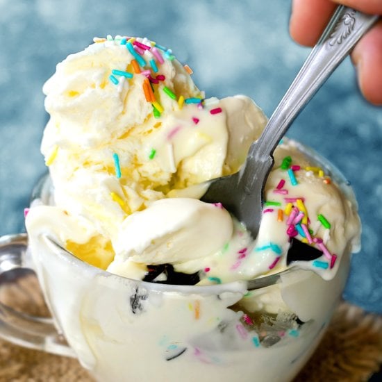 Easy 3-Ingredient Vanilla Ice Cream