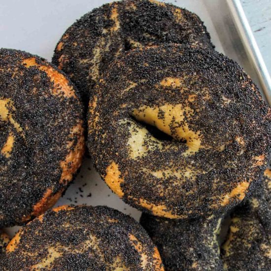 Poppy Seed Bagels (6 Ingredients)