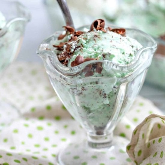 Keto Mint Chocolate Chip Ice Cream