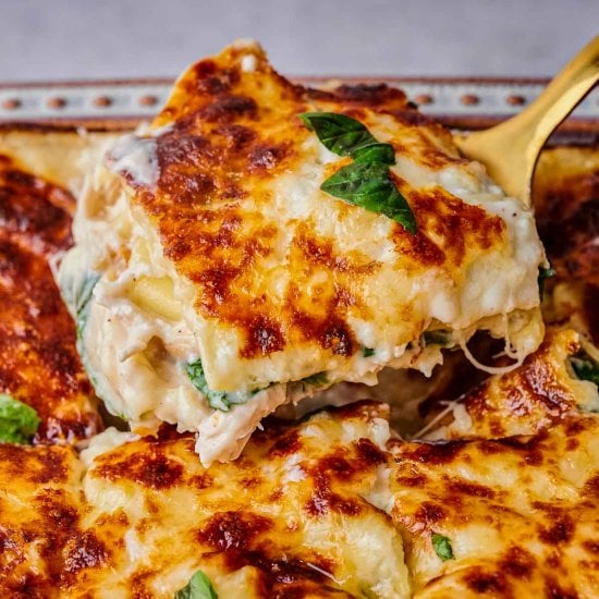 Chicken Alfredo Lasagna