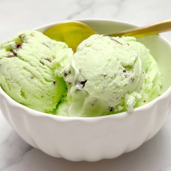 Mint Chocolate Chip Ice Cream