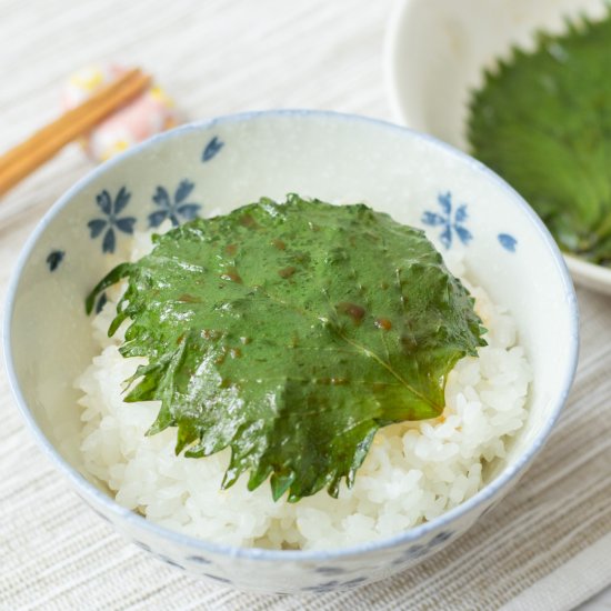 Japanese Pickled Shiso Leaves