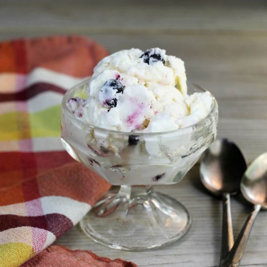Lemon Blueberry No-Churn Ice Cream