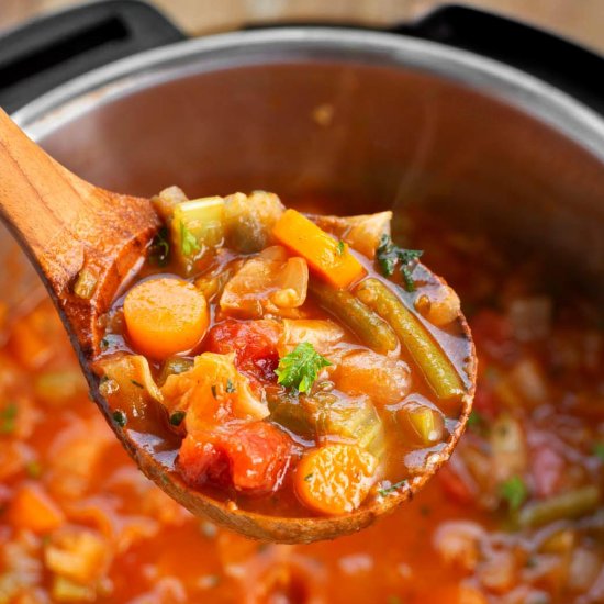 Instant Pot Cabbage Soup