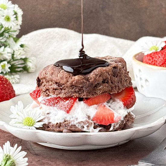 Chocolate Strawberry Shortcake