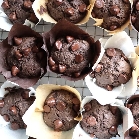 Chocolate Chip Muffins Recipe