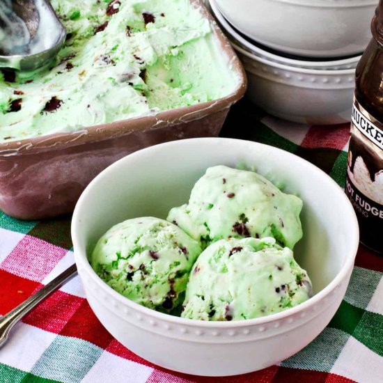Mint Chocolate Chip Ice Cream