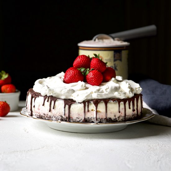 Frosty Neapolitan Ice Cream Cake