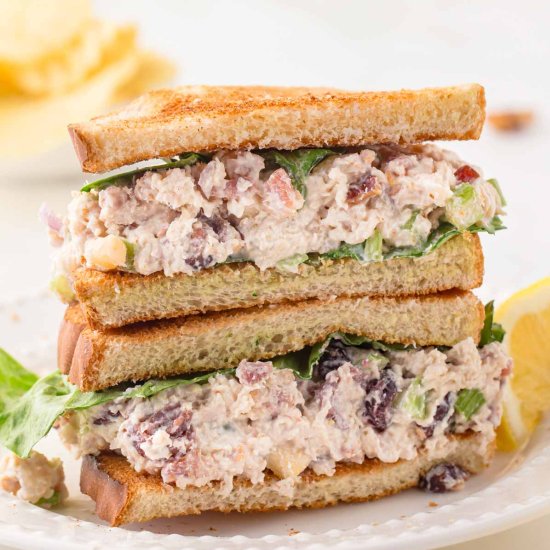 Fall Chicken Salad with Cranberries