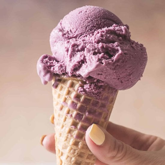 Blueberry Ice Cream