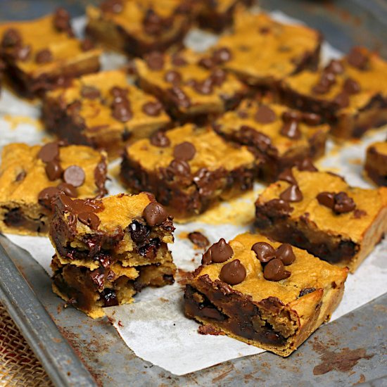 Chickpea Chocolate Chip Cookie Bars