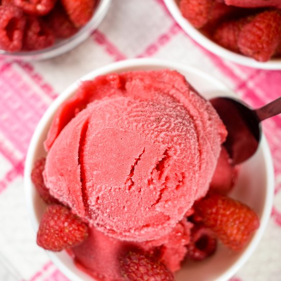Raspberry Sorbet