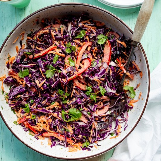 Tangy Red Cabbage Slaw