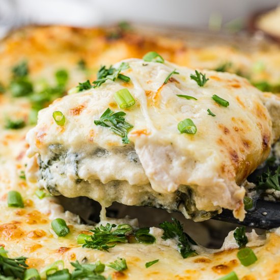 Chicken Alfredo Lasagna