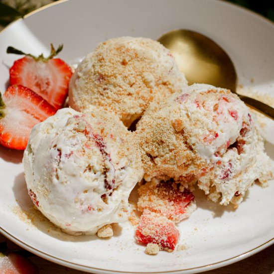 Strawberry Shortcake Ice Cream