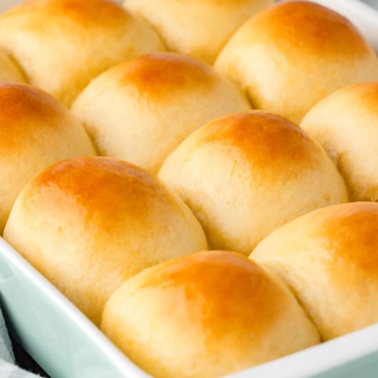 Easy Dinner Rolls